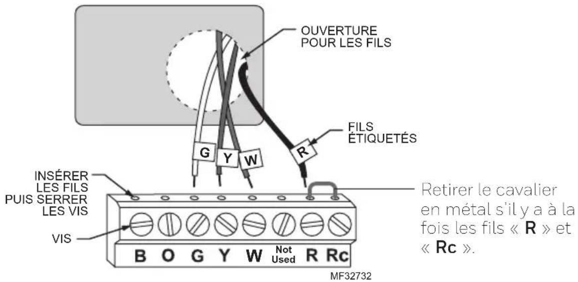 HONEYWELL RTH2300B1038/E1 - Raccorder les fils - 1