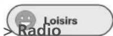 SWISSVOICE S510-C - Radio internet - 2