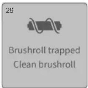 29 Brushroll trapped Clean brushroll