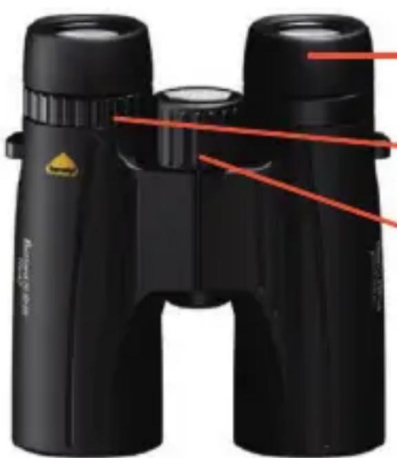 Bynolyt Searanger II 7x50 - Einstellen für den ersten Gebrauch - 1