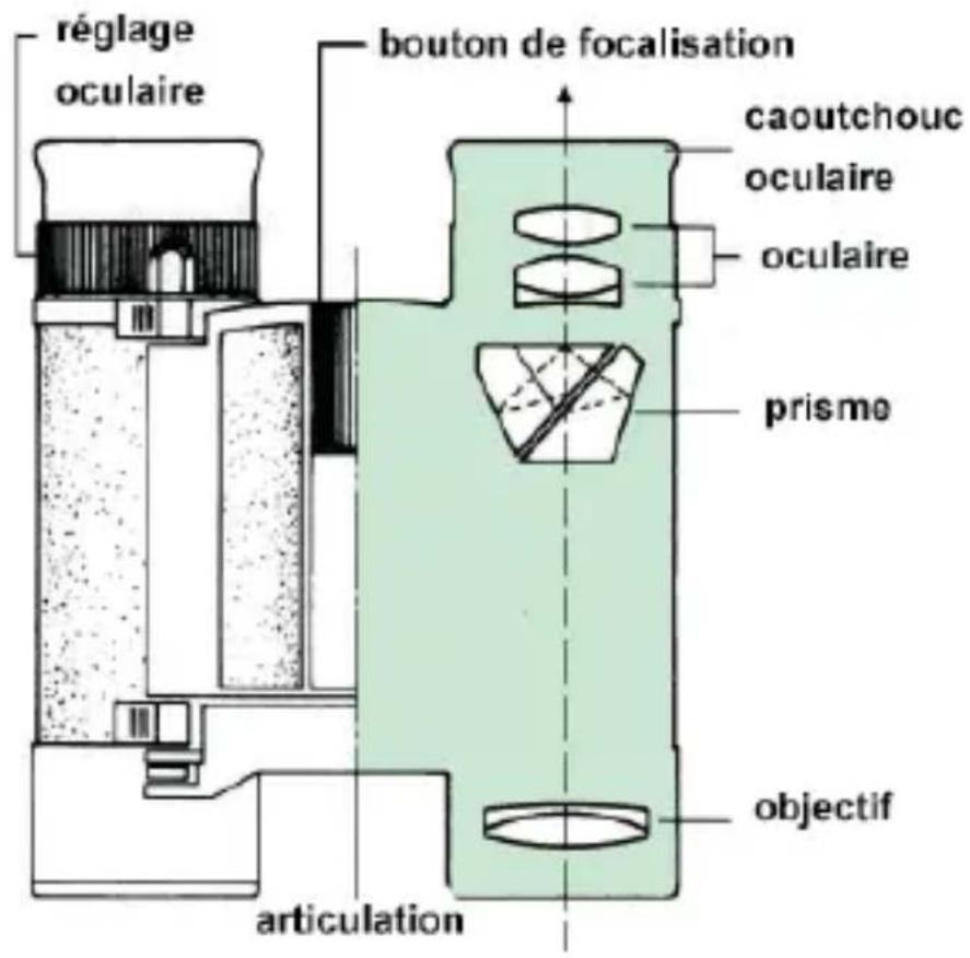 Bynolyt Searanger II 7x50 - Focalisation - 1