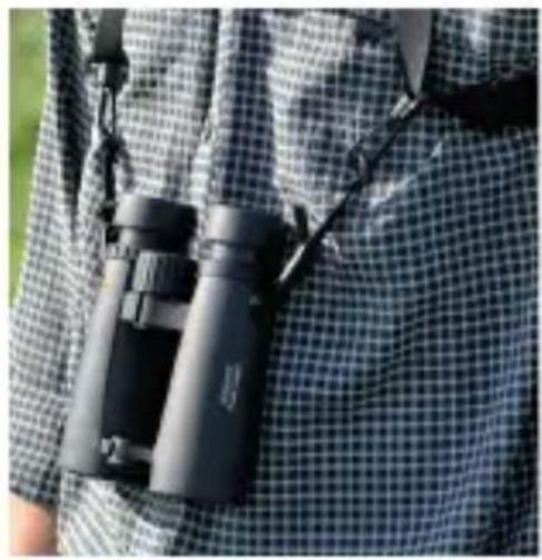 Bynolyt Searanger II 7x50 - Fernglas Harnisch - 1
