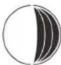GlobalTronics GT-WS-20 - Phases de la lune - 4