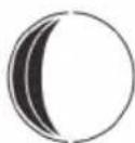 GlobalTronics GT-WS-20 - Phases de la lune - 14