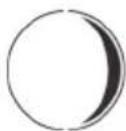 GlobalTronics GT-WS-20 - Phases de la lune - 2