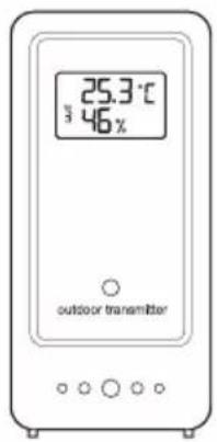 GlobalTronics GT-WS-20 - Sonde sans fil - 2