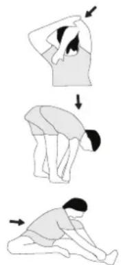Christopeit TM 750S - Example - stretching exercises for the warm-up and cool-down phases - 1