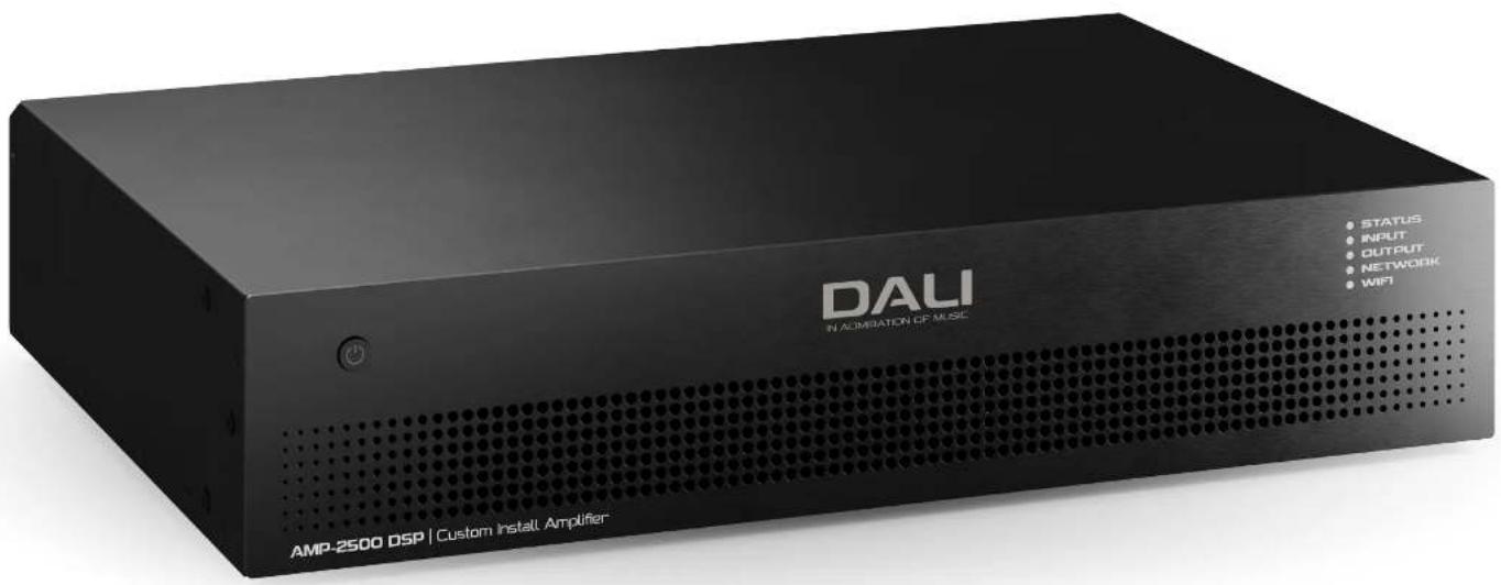 Dali Phantom CI AMP-2500 DSP - 1