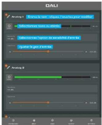 DALI Analog 1 Ençue la nom, chiques / touches pour modifier Selectiennes mono ou etaréo Selectiennes option de serabilité d'entre Ajuster le gan d'entres Analog 2