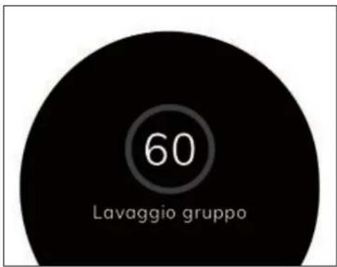 Victoria Arduino E1 Prima - PULIZIA GRUPPO DI EROGAZIONE - 4