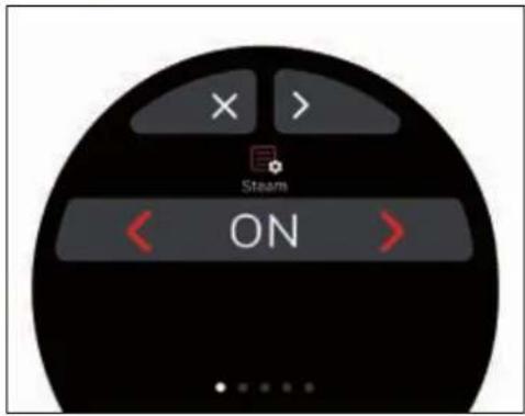 Victoria Arduino E1 Prima - Factory Parameters Reset - 3