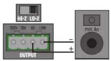 LD Systems AMP 106 T - CONECTORES DE SALIDA - 1