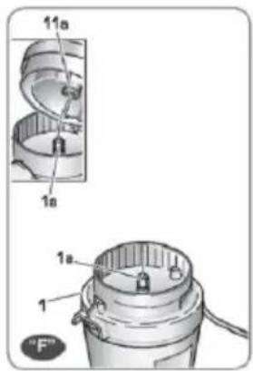 11a 1a 1a 1 "F"