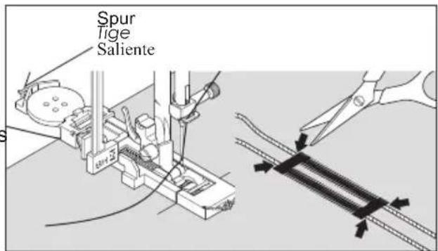 Spur Tige Saliente