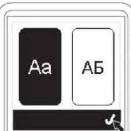Aa A6