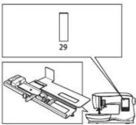 29