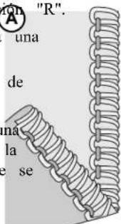 SINGER S14-77 - 2-Thread Rolled Edge (A) - 1