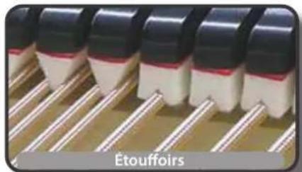 Dexibell VIVO H10MG - Bruit de l'étouffoir - 1