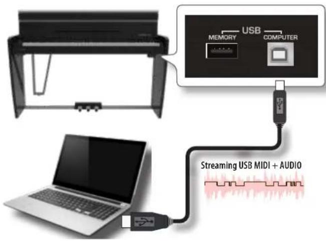 Dexibell VIVO H10MG - De quoi avez-vous besoin pour connecter le VIVO H10 MG à votre ordinateur ? - 1