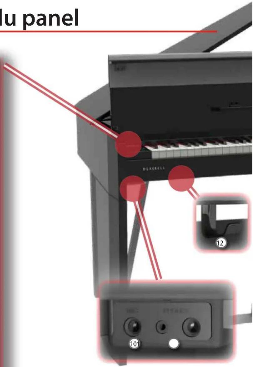 Dexibell VIVO H10MG - MIC EFFECT - 1