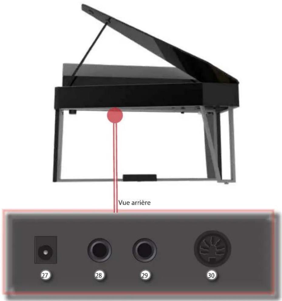 Dexibell VIVO H10MG - 25 - 1