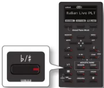 Dexibell VIVO H10MG - Transposition de la hauteur du clavier - 1