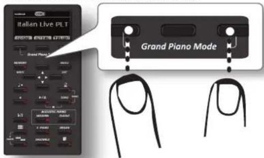 Dexibell VIVO H10MG - NOTE - 1