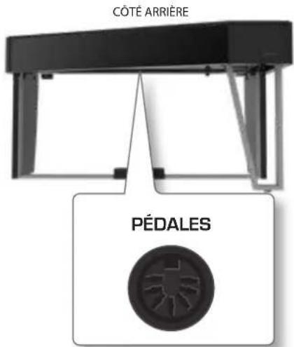 Dexibell VIVO H10MG - Connexion du cordon de la pédale - 1