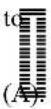 SINGER HD6620C - One-Step Buttonhole - 1