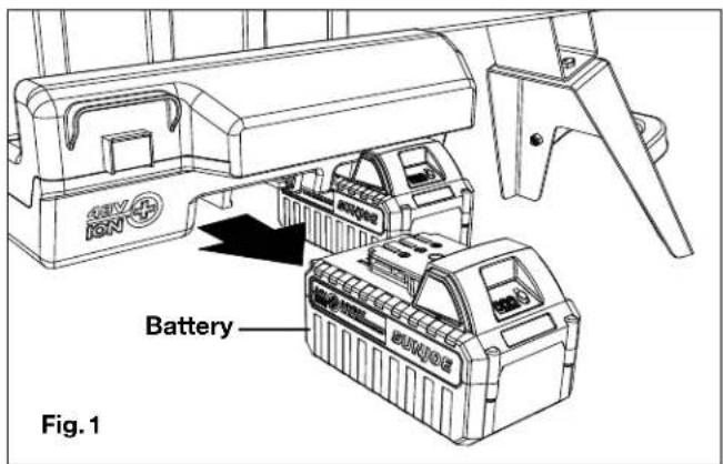 ISN Battery Fig. 1