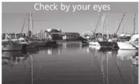 Check by your eyes