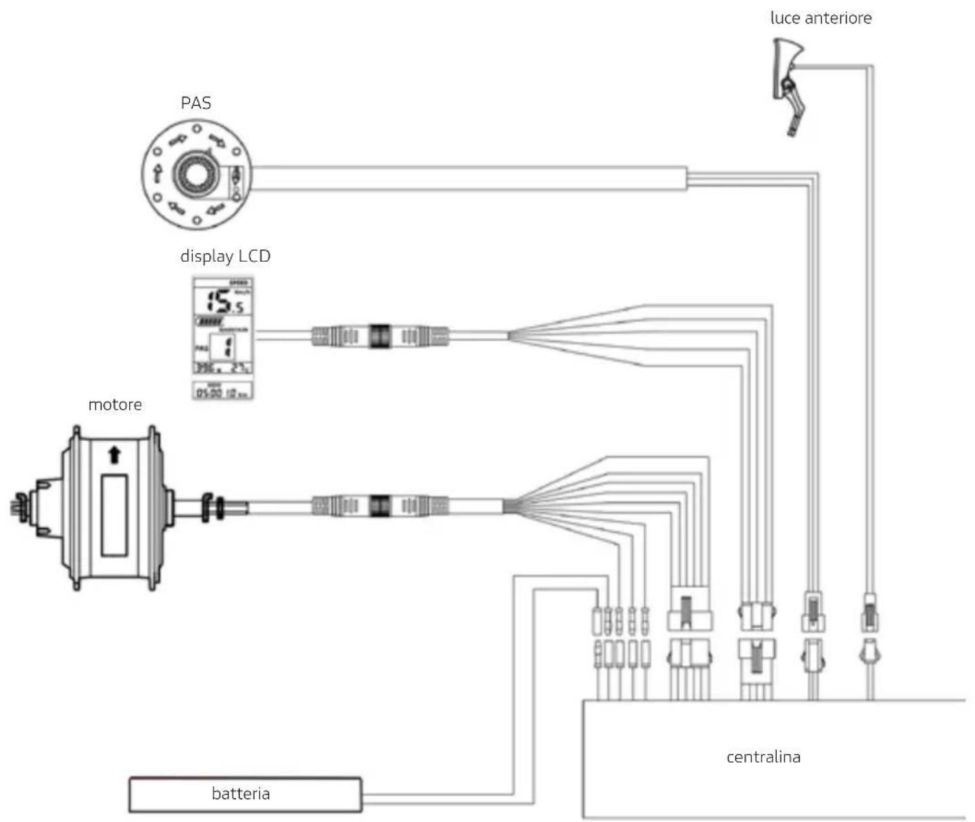 DUCATI Scrambler SCR-E Sport - Diagramma connessioni - 1