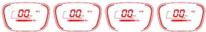 SEGWAY E300SE - Avisos y precauciones - 30