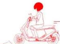 SEGWAY E300SE - Avisos y precauciones - 7