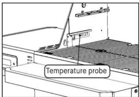 Temperature probe