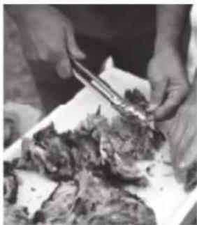 Masterbuilt MB20041220 - SIEMPRE ASEGÚRESE QUE LA PARRILLA ESTÉ FRÍA AL TACTO ANTES DE LIMPIAR Y ALMACENAR. - 7