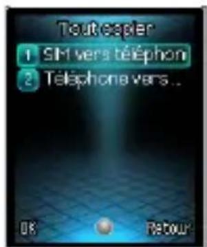 SFR 116 - COMMENT IMPORTER LES CONTACTS DE LA CARTE SIM ? - 5
