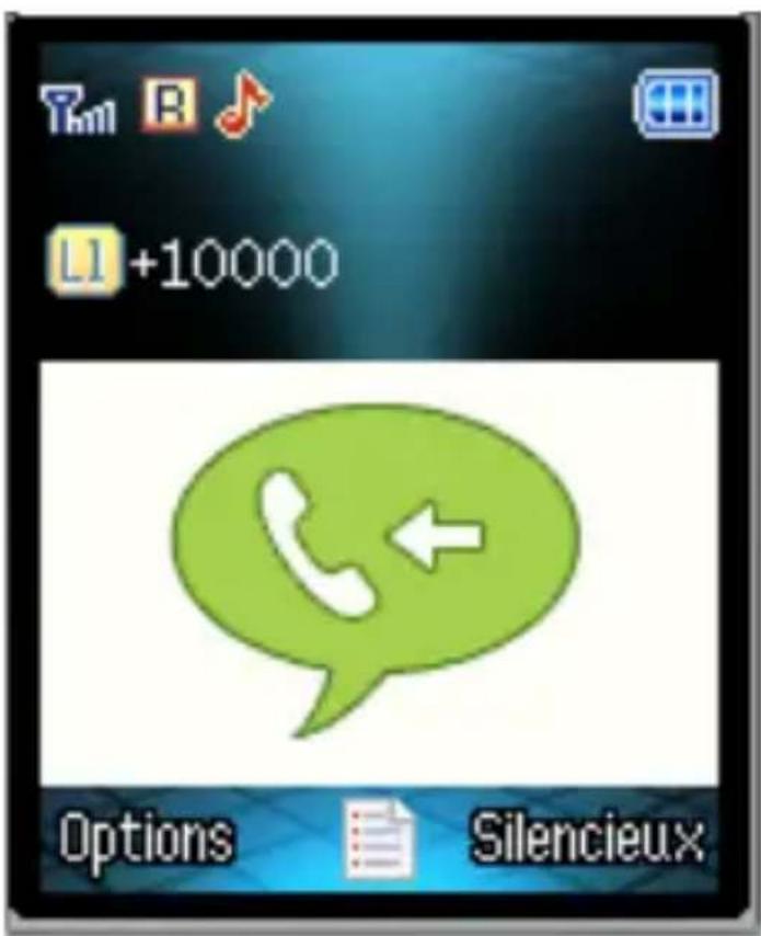 SFR 116 - COMMENT DÉCROCHER UN APPEL ? - 1