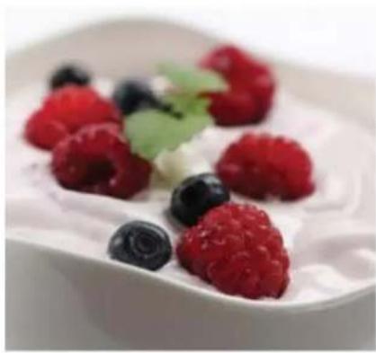 Euro Cuisine GY60 - Instructions : - 1
