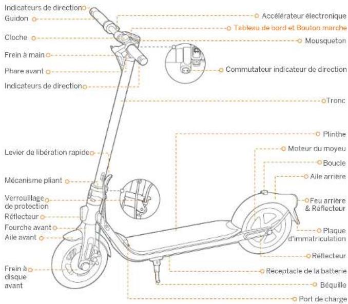 SEGWAY Ninebot KickScooter F2 Pro E - Ninebot KickScooter - 3