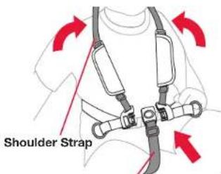BOB Gear Revolution Flex 3.0 - Securing the Child in the Seat - 1