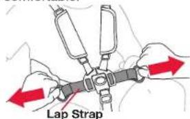 BOB Gear Revolution Flex 3.0 - Tighten Lap Strap - 1