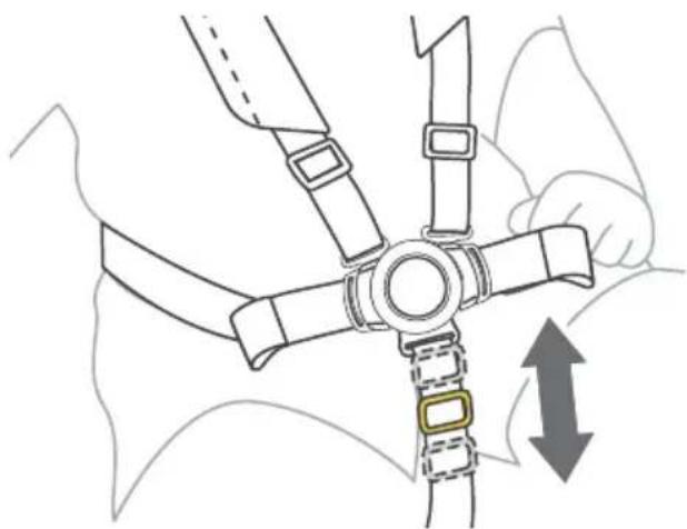 BOB Gear Wayfinder - Ajustez la boucle - 1