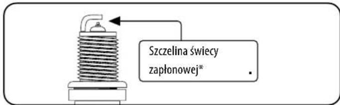 Champion 73001i-E - Świece zapłonowe - 1