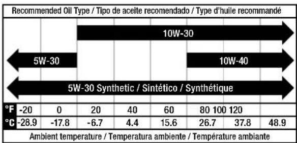 Champion 73001i-E - PRÉCAUTION - 1