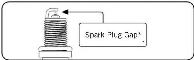 Champion 73001i-E - Spark Plugs - 1