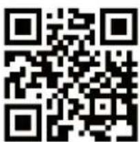MEDION Life P61155 (MD 44055) - Serviceinformationen - 1