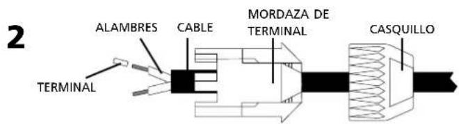 Montarbo W440P - Cableado del cable de conexión sobre el conector Speakon®: - 2