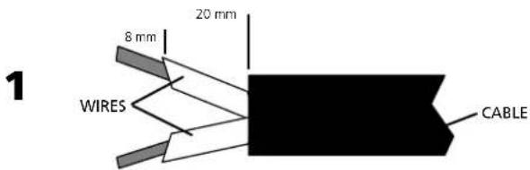 Montarbo W440P - Wiring of the connection cable to the Speakon® connector: - 1