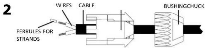 Montarbo W440P - Wiring of the connection cable to the Speakon® connector: - 2